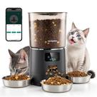 Alimentador automático para gatos Vacqueen para 3 gatos 6L/6000ml WiFi preto