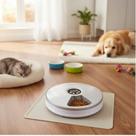Alimentador Automático Pet Cachorro Gato 6 Compartimentos Alimentador Automático Pet Cachorro Gato 6 Compartimentos