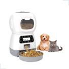 Alimentador Comedouro Automático Cães Gatos Pet Programável