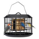 Alimentador de sebo Kingsyard Squirrel Proof de dupla capacidade preto