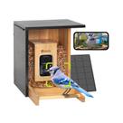 Alimentador inteligente de pássaros Birdfy AI com câmera Bamboo Solar Power