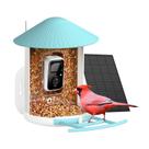Alimentador inteligente de pássaros NETVUE da Birdfy com câmera e painel solar