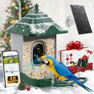 Alimentador Inteligente para Pájaros Nuctove con Cámara Solar 4K HD