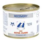 Alimento Úmido Recovery Royal Canin Cães Gatos 195g