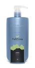 Alisamento Reconstrutor Argilotherapy Organic DiColore 1L
