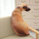 Almofada 3d Meme Viral Cachorro Caramelo 50 Cm Cor Marrom Almofada 3d Meme Viral Cachorro Caramelo 50 Cm Cor Marrom