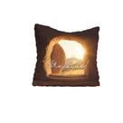 Almofada Aveludada 35x35 Ele Vive