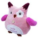 Almofada Coruja Corujinha Rosa Bons Sonhos 35cm - Pelúcia