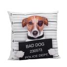 Almofada de Cachorrinho Preso Bad Dog - Mabruk Almofada de Cachorrinho Preso Bad Dog - Mabruk