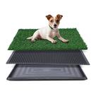Almofada de grama para cães FluffyDream com bandeja 50x63cm de grama artificial