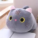 Almofada de pelúcia Cat 50 cm macia e fofa para decoração de almofadas de sofá Almofada de pelúcia Cat 50 cm macia e fofa para decoração de almofadas de sofá