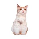 Almofada De Pelúcia Gato Realista, Bichinho De Pelúcia Fofo, Boneca De Gatinho, Almofada De Sofá, Almofada De Pelúcia Gato Realista, Bichinho De Pelúcia Fofo, Boneca De Gatinho, Almofada De Sofá,