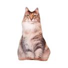 Almofada De Pelúcia Gato Realista, Bichinho De Pelúcia Fofo, Boneca De Gatinho, Almofada De Sofá,