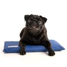 Almofada de resfriamento CoolerDog Dog Hydro CoolerDog 18x10,5 cm