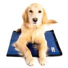 Almofada de resfriamento CoolerDog Hydro CoolerDog para cães pequenos/médios