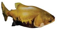 Almofada de tambaqui Almofada de tambaqui