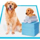 Almofada de xixi JOINPADS Dog Extra Large 28x34cm Superabsorvente Almofada de xixi JOINPADS Dog Extra Large 28x34cm Superabsorvente