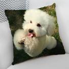 Almofada Decorativa Cheia c/ Zíper 25x25cm, Poodle