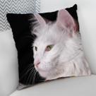 Almofada Decorativa Cheia c/ Zíper 40x40 Gatos Cat Felino
