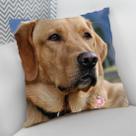 Almofada Decorativa Cheia c/ Zíper Dog Pet Cachorro Cão