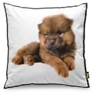 Almofada Love Dogs Black Edition - Chow Chow