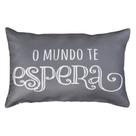 Almofada Sarja Baguete 30x50 2 Frases Sucesso Cinza Cheia