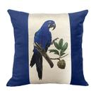 Almofada Veludo Arara 52Cm - Decortextil