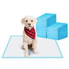 Almofadas de treinamento para animais de estimação BESTLE Pee Pads para cães 55,9 x 55,9 cm 100 unidades Almofadas de treinamento para animais de estimação BESTLE Pee Pads para cães 55,9 x 55,9 cm 100 unidades