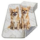 Almofadas de xixi laváveis FXW para cães superabsorventes de 23 x 17 cm, pacote com 2