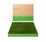 Almofadas de xixi para cachorros DoggieLawn Real Grass 60 x 50 cm para ambientes internos/externos