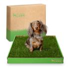 Almofadas de xixi para cachorros DoggieLawn Real Grass 60x40cm para ambientes internos/externos