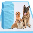Almofadas de xixi para cachorros, inodoras, 40 unidades, extra grandes, 75 x 120 cm