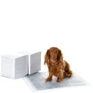 Almofadas de xixi para cães e cachorros Amazon Basics, 5 camadas, pacote com 80, cinza Almofadas de xixi para cães e cachorros Amazon Basics, 5 camadas, pacote com 80, cinza