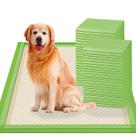 Almofadas Descartáveis para Animais de Estimação Gardner - Extra Grande (70x85cm) - Pacote com 30 Unidades