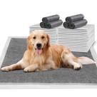 Almofadas Descartáveis para Cachorro HIDOGGYLD - Extra Grande (28x34cm) - Pacote com 30 Unidades