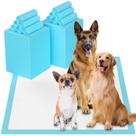 Almofadas Descartáveis para Cachorros Suguning (60 Unidades) - 32x36cm - À Prova de Vazamentos