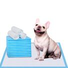 Almofadas Descartáveis para Cães IMMCUTE - 56x58cm (100 Unidades) - Superabsorventes Almofadas Descartáveis para Cães IMMCUTE - 56x58cm (100 Unidades) - Superabsorventes