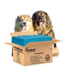 Almofadas Descartáveis para Cães PETSWORLD - 50 Unidades Gigantes (37x54 Polegadas) Almofadas Descartáveis para Cães PETSWORLD - 50 Unidades Gigantes (37x54 Polegadas)
