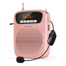 Alto-falante amplificador de voz para professor S278 15W 2500mAh