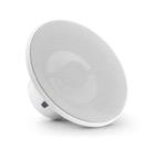 Alto Falante Marinizado 6.5 Pol. JL Audio M6-650X-L-GwGw