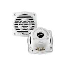 Alto falante Náutico 4p 100w RMS AUDIO PIPE APSW-4032