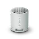 Alto-falante Sony SRS-XB100 sem fio Bluetooth à prova d'água cinza