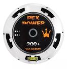 Alto Falante Woofer Magnum Rex Power 300+ 10 Pol 300 W Rms