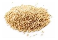 Amaranto Em Grãos 500g