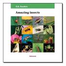 Amazing Insects