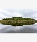 Amazônia Cinzenta Amazônia Cinzenta