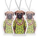 Ambientador para carro Fresh Fresheners, pack de 12, Boxer Hawaii Ambientador para carro Fresh Fresheners, pack de 12, Boxer Hawaii
