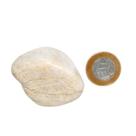 Ambligonita Roxa Rolado Natural Qualidade Comum 51mm 112g
