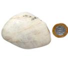 Ambligonita Roxa Rolado Natural Qualidade Comum 7cm 275g Ambligonita Roxa Rolado Natural Qualidade Comum 7cm 275g