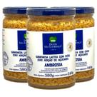 Ambrosia Zero Açucar São Lourenço 380g (3 vidros)